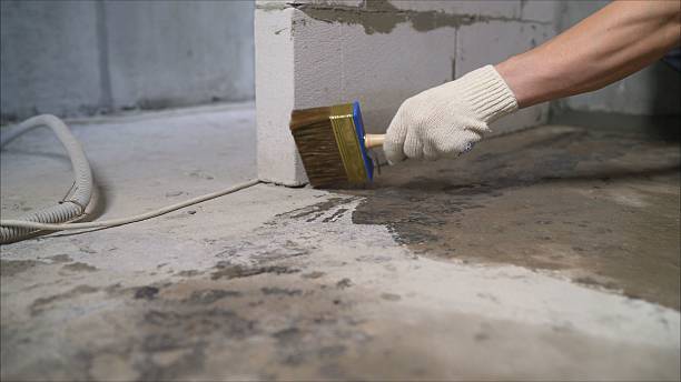 SJ Waterproofing Pros Waterproofing coverage map for Wayland, MI and surrounding area